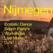 Logo of NijmegenDanst.NL