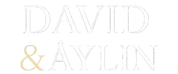 Logotipo de David y Aylin