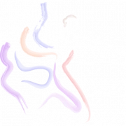 Logotipo de Diana Meijer Dance & ShowBizz Academy