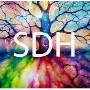 Logo of Spirit Dance Haarlem